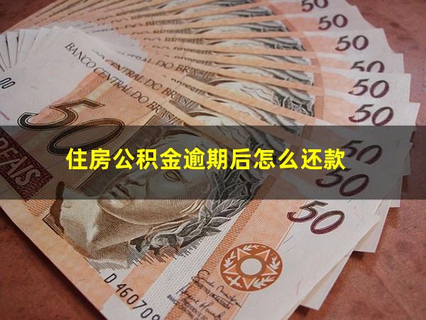 住房公积金逾期后怎么还款