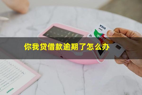 你我贷借款逾期了怎么办