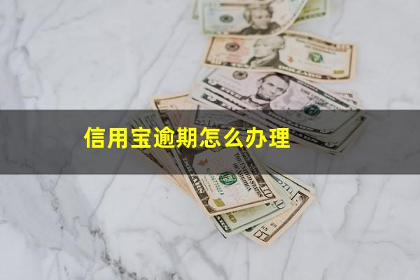 信用宝逾期怎么办理