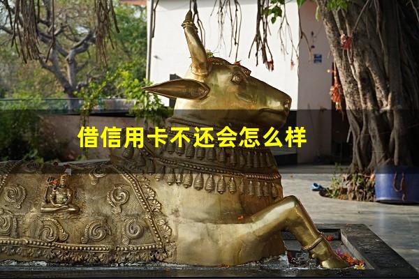 借信用卡不还会怎么样