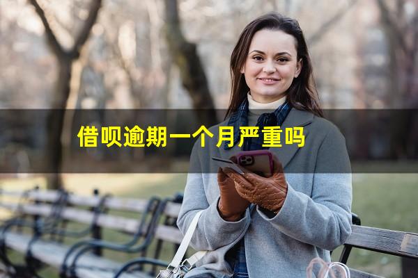 借呗逾期一个月严重吗