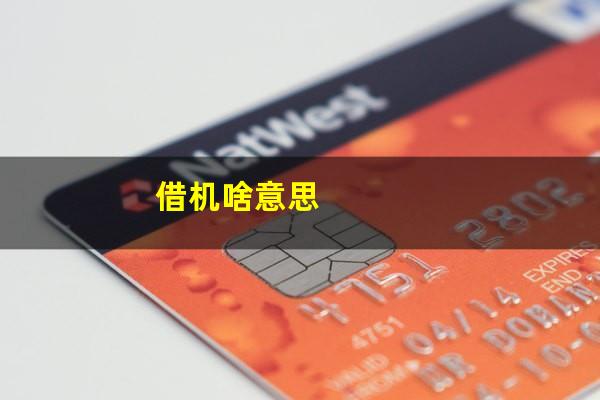 借机啥意思