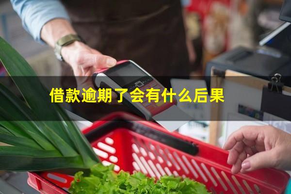 借款逾期了会有什么后果