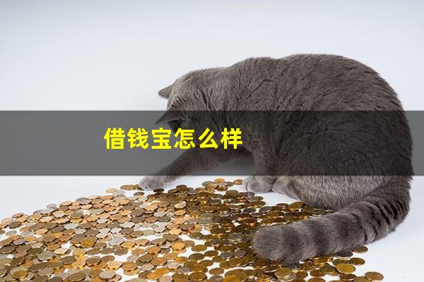 借钱宝怎么样