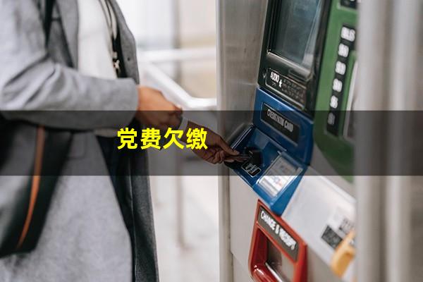 党费欠缴