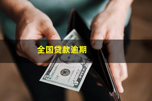 全国贷款逾期