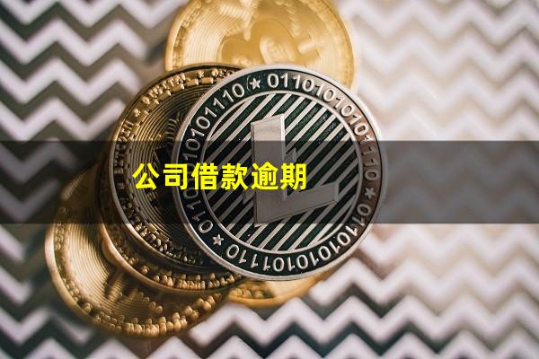 公司借款逾期