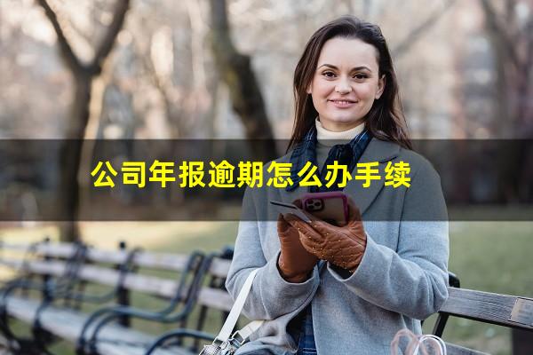 公司年报逾期怎么办手续