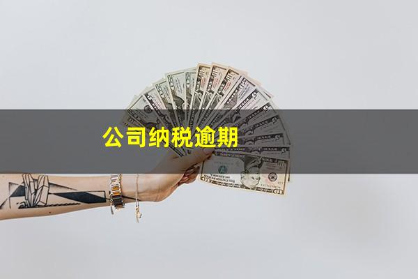 公司纳税逾期