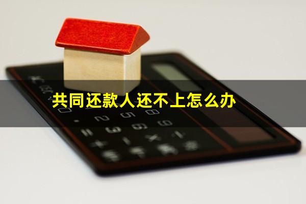共同还款人还不上怎么办