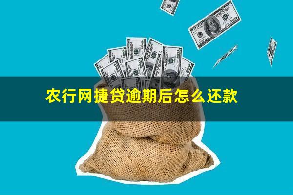 农行网捷贷逾期后怎么还款