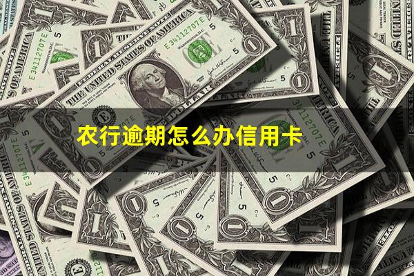 农行逾期怎么办信用卡