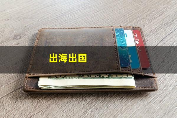 出海出国