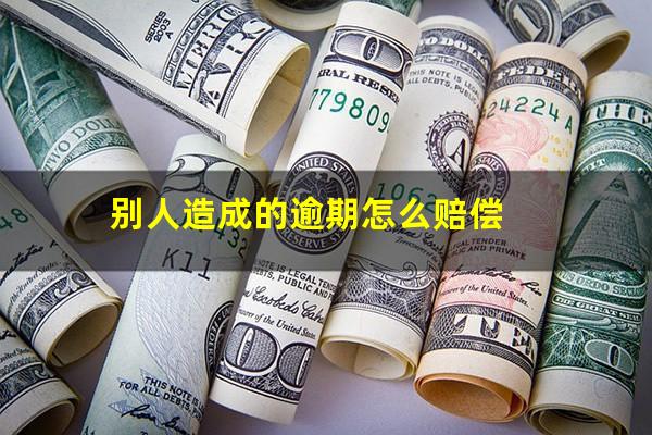 别人造成的逾期怎么赔偿
