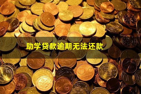 助学贷款逾期无法还款