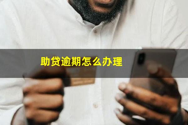 助贷逾期怎么办理