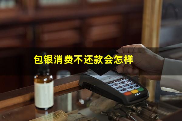 包银消费不还款会怎样