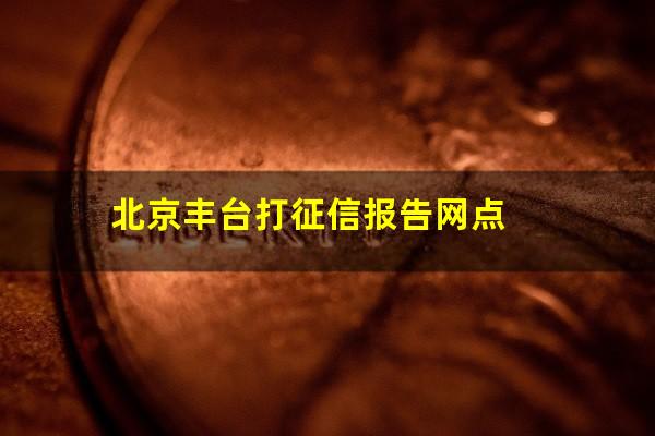 北京丰台打征信报告网点