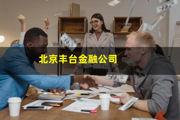 北京丰台金融公司