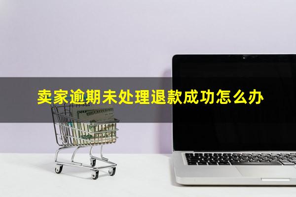 卖家逾期未处理退款成功怎么办