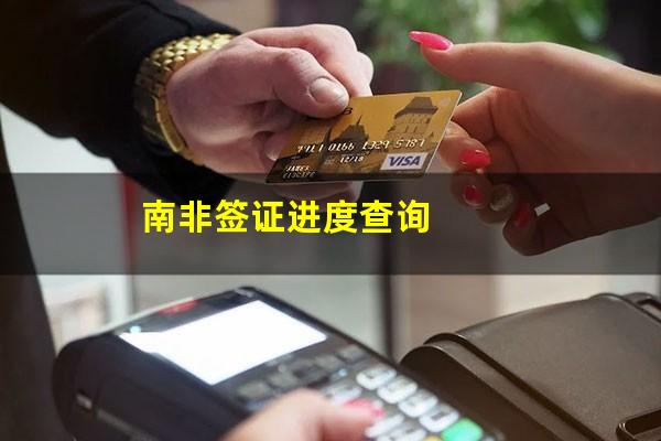 南非签证进度查询