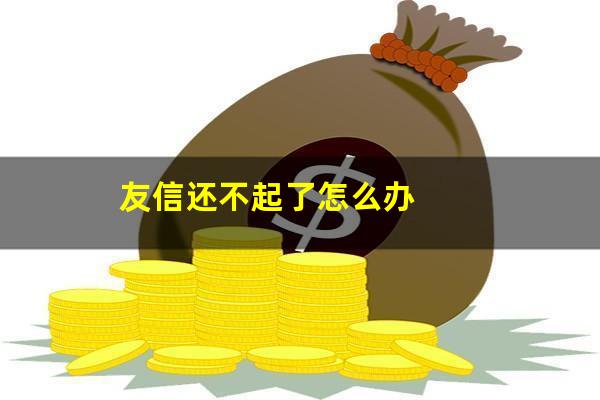 友信还不起了怎么办