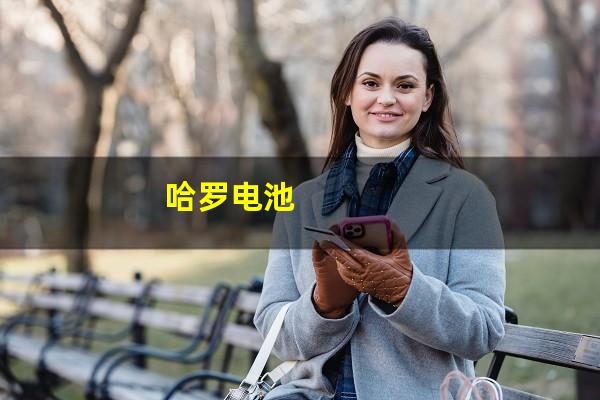 哈罗电池