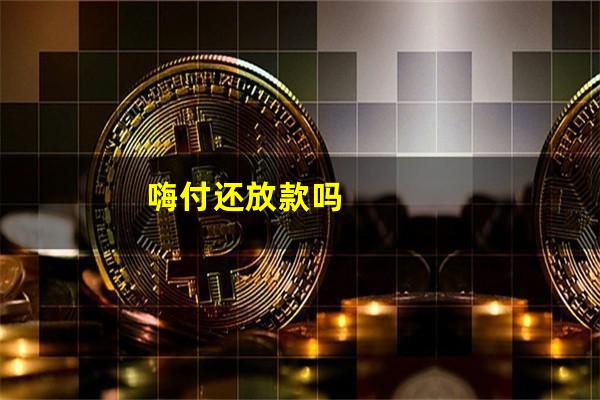 嗨付还放款吗