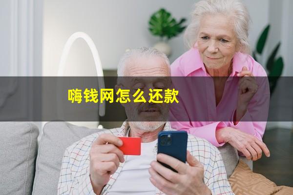 嗨钱网怎么还款
