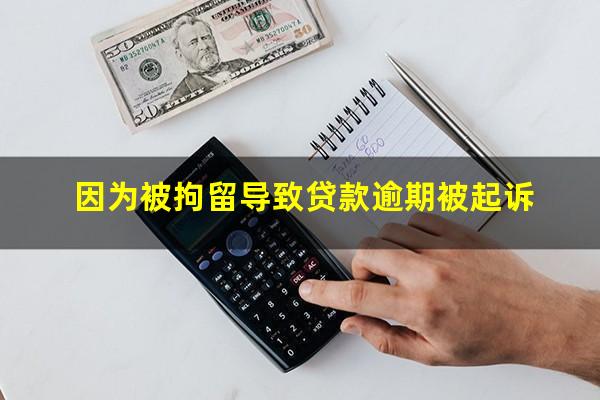 因为被拘留导致贷款逾期被起诉