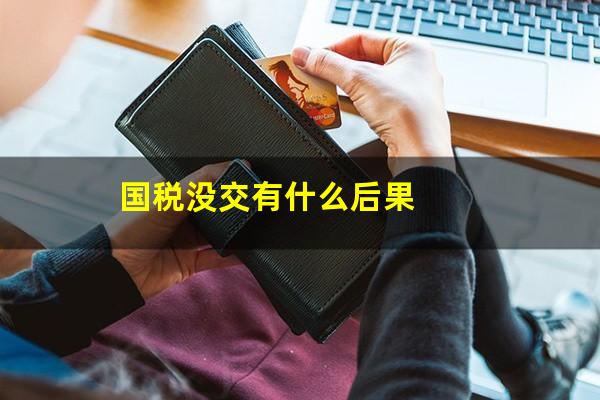 国税没交有什么后果