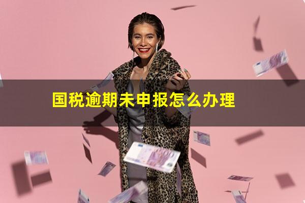 国税逾期未申报怎么办理