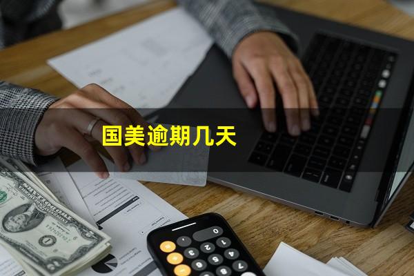 国美逾期几天