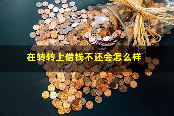 在转转上借钱不还会怎么样