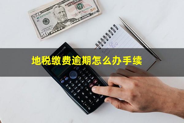 地税缴费逾期怎么办手续