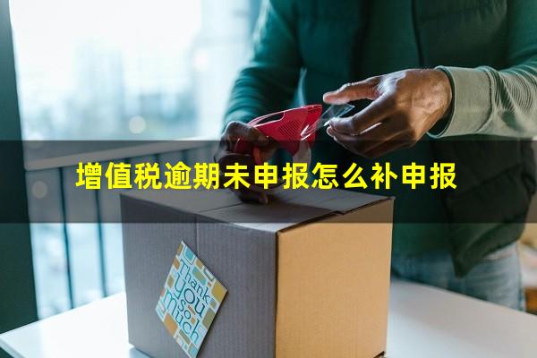 增值税逾期未申报怎么补申报