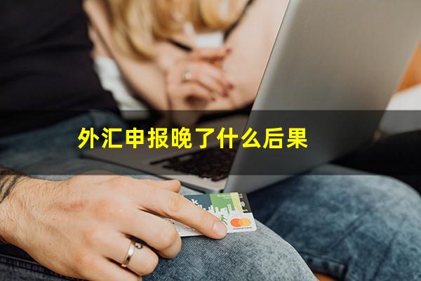 外汇申报晚了什么后果