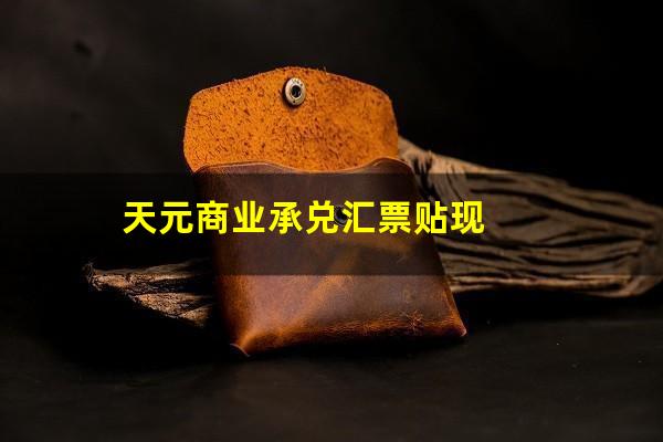 天元商业承兑汇票贴现