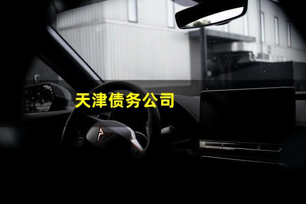 天津债务公司