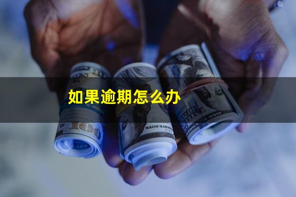 如果逾期怎么办