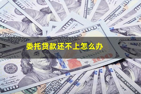 委托贷款还不上怎么办