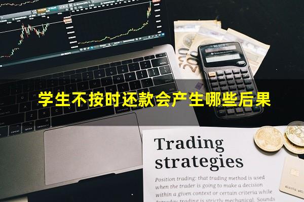 学生不按时还款会产生哪些后果