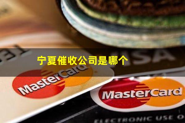 宁夏催收公司是哪个