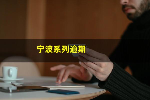 宁波系列逾期