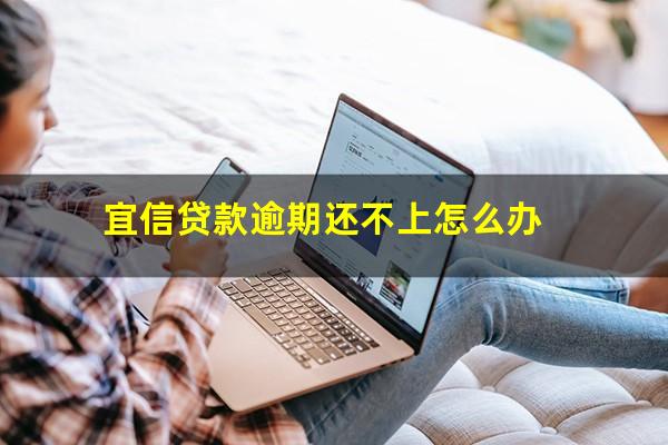 宜信贷款逾期还不上怎么办