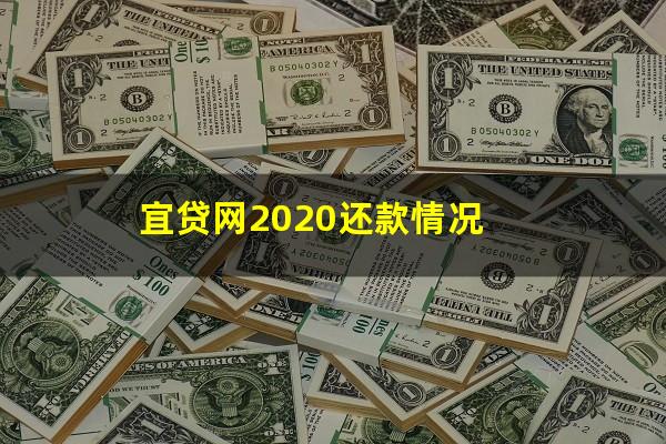 宜贷网2020还款情况