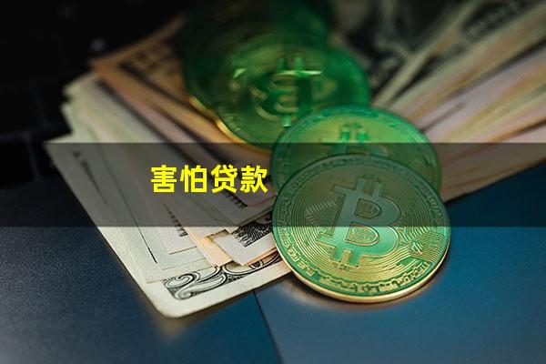 害怕贷款