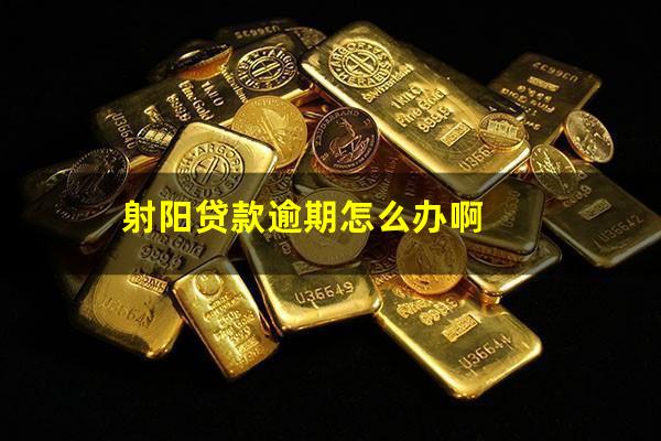 射阳贷款逾期怎么办啊