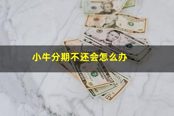 小牛分期不还会怎么办
