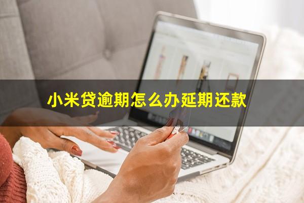 小米贷逾期怎么办延期还款